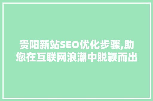贵阳新站SEO优化步骤,助您在互联网浪潮中脱颖而出 WordPress教程
