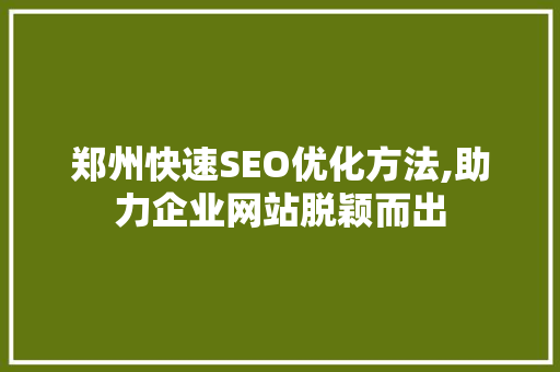 郑州快速SEO优化方法,助力企业网站脱颖而出