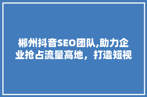 郴州抖音SEO团队,助力企业抢占流量高地，打造短视频营销新格局