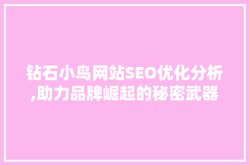 钻石小鸟网站SEO优化分析,助力品牌崛起的秘密武器