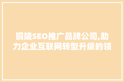 铜陵SEO推广品牌公司,助力企业互联网转型升级的领军者