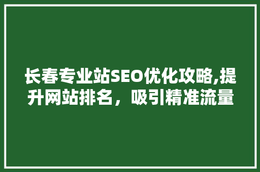 长春专业站SEO优化攻略,提升网站排名，吸引精准流量