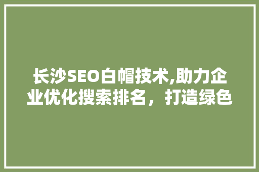 长沙SEO白帽技术,助力企业优化搜索排名，打造绿色网络生态