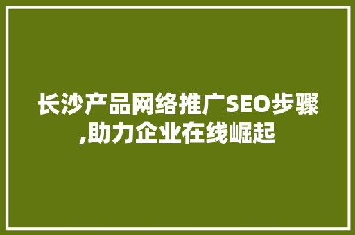 长沙产品网络推广SEO步骤,助力企业在线崛起