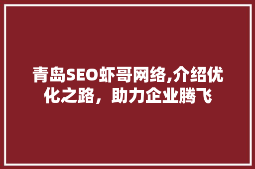 青岛SEO虾哥网络,介绍优化之路，助力企业腾飞