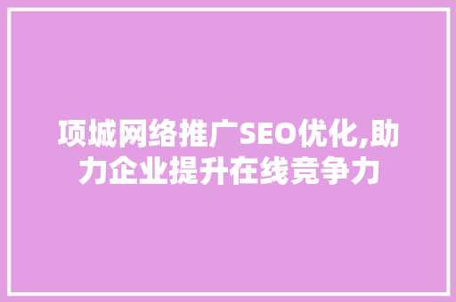 项城网络推广SEO优化,助力企业提升在线竞争力