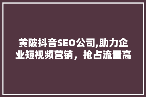 黄陂抖音SEO公司,助力企业短视频营销，抢占流量高地
