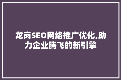 龙岗SEO网络推广优化,助力企业腾飞的新引擎