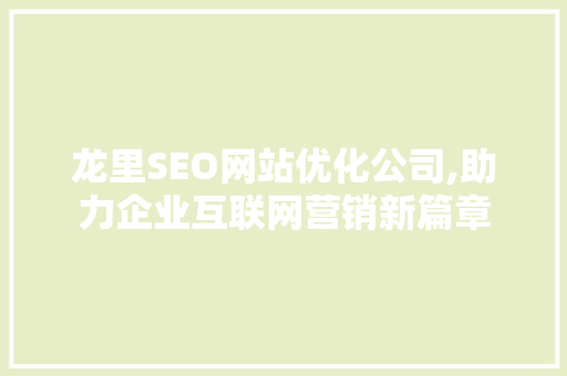 龙里SEO网站优化公司,助力企业互联网营销新篇章
