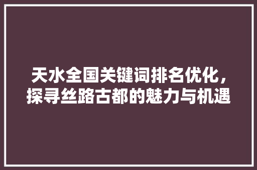 天水全国关键词排名优化，探寻丝路古都的魅力与机遇