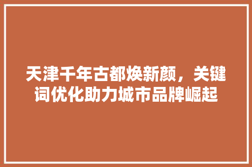 天津千年古都焕新颜，关键词优化助力城市品牌崛起