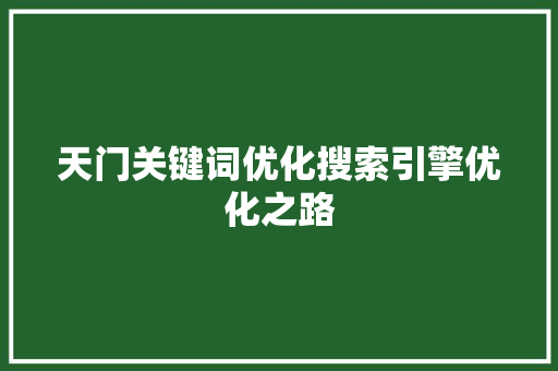 天门关键词优化搜索引擎优化之路
