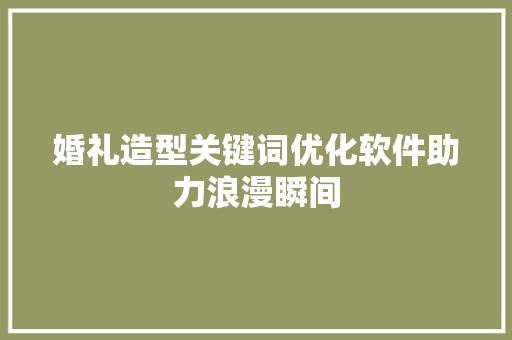 婚礼造型关键词优化软件助力浪漫瞬间 Web前端