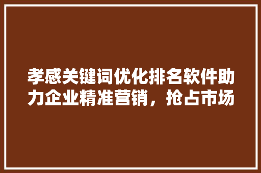 孝感关键词优化排名软件助力企业精准营销，抢占市场份额
