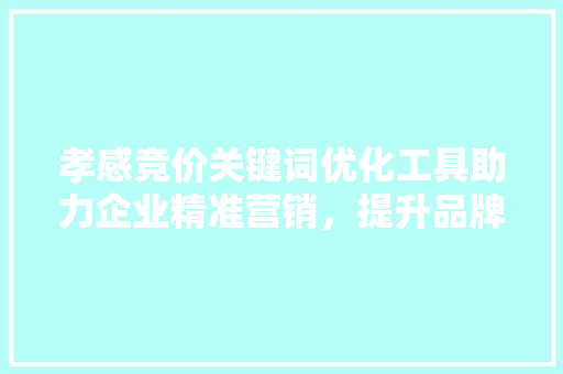 孝感竞价关键词优化工具助力企业精准营销，提升品牌影响力
