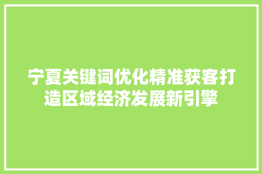 宁夏关键词优化精准获客打造区域经济发展新引擎