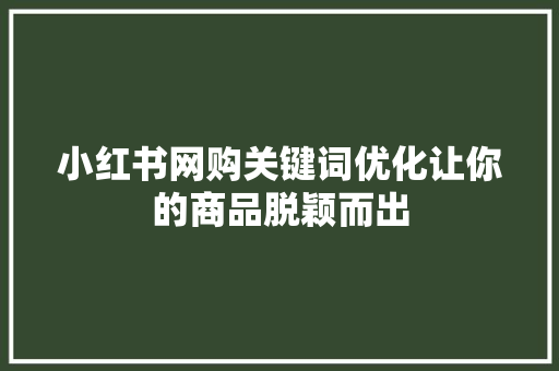 小红书网购关键词优化让你的商品脱颖而出