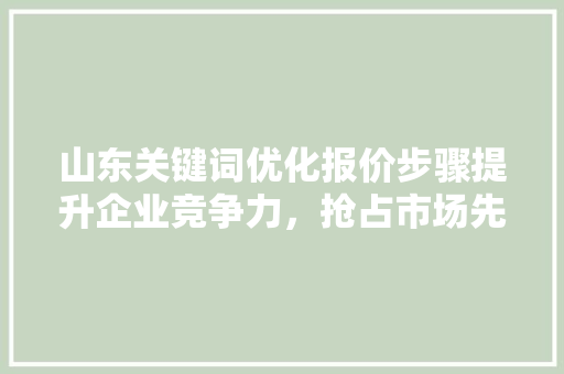 山东关键词优化报价步骤提升企业竞争力，抢占市场先机