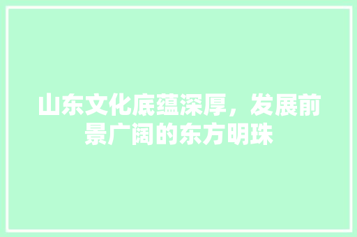 山东文化底蕴深厚，发展前景广阔的东方明珠
