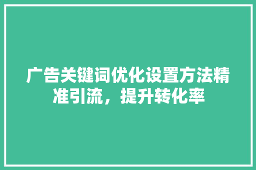 广告关键词优化设置方法精准引流，提升转化率