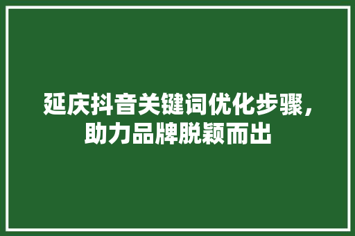 延庆抖音关键词优化步骤，助力品牌脱颖而出