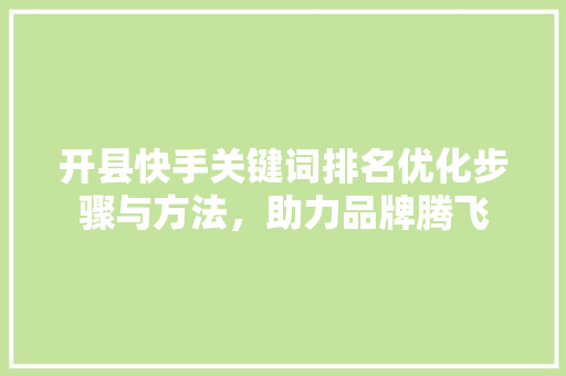 开县快手关键词排名优化步骤与方法，助力品牌腾飞