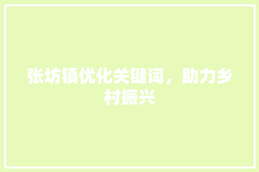 张坊镇优化关键词，助力乡村振兴