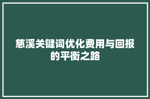 慈溪关键词优化费用与回报的平衡之路