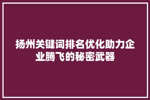 扬州关键词排名优化助力企业腾飞的秘密武器