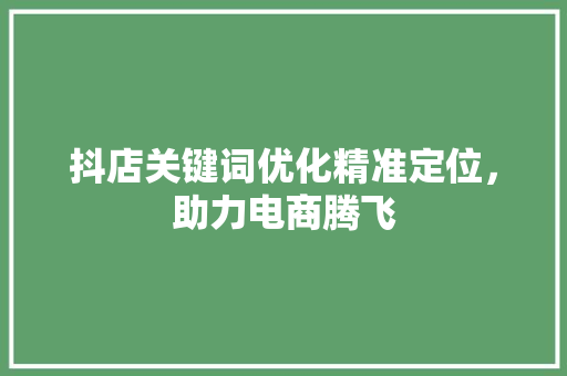 抖店关键词优化精准定位，助力电商腾飞 服务器/数据库