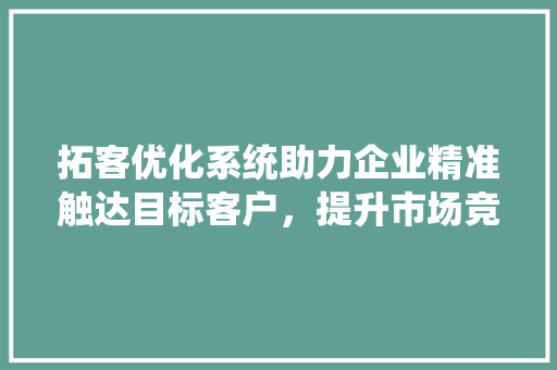 拓客优化系统助力企业精准触达目标客户，提升市场竞争力