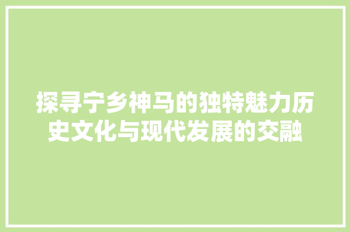 探寻宁乡神马的独特魅力历史文化与现代发展的交融