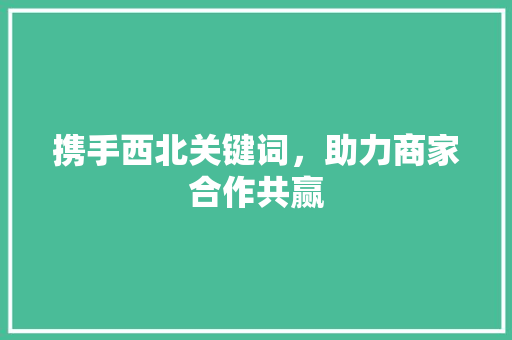 携手西北关键词，助力商家合作共赢