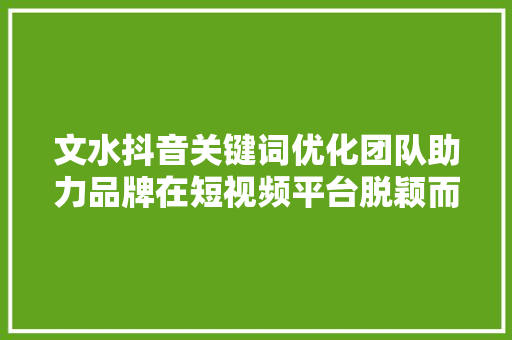 文水抖音关键词优化团队助力品牌在短视频平台脱颖而出