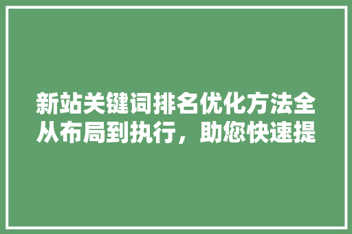 新站关键词排名优化方法全从布局到执行，助您快速提升网站排名