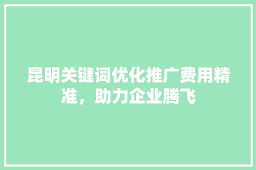 昆明关键词优化推广费用精准，助力企业腾飞 Web前端