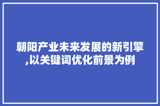 朝阳产业未来发展的新引擎,以关键词优化前景为例 SEO教程