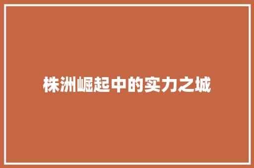 株洲崛起中的实力之城 建站教程