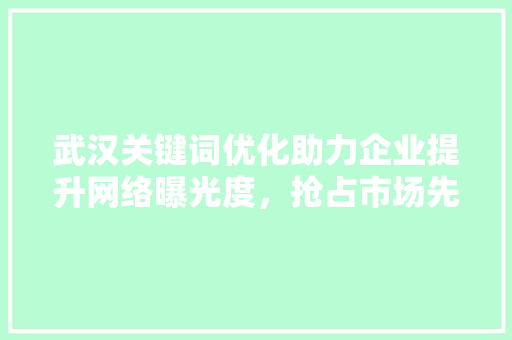 武汉关键词优化助力企业提升网络曝光度，抢占市场先机