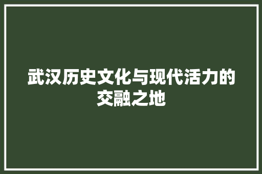 武汉历史文化与现代活力的交融之地