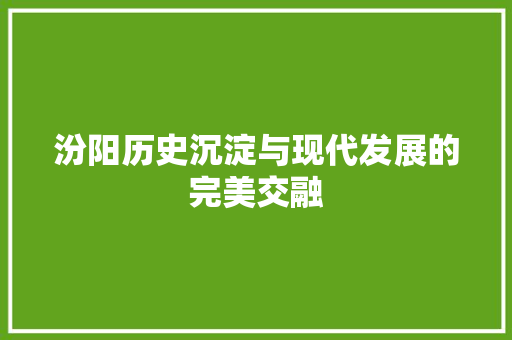 汾阳历史沉淀与现代发展的完美交融