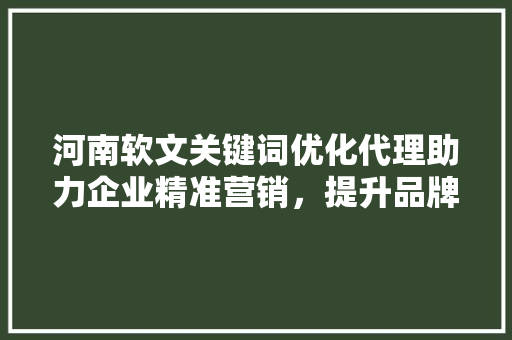 河南软文关键词优化代理助力企业精准营销，提升品牌影响力