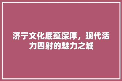 济宁文化底蕴深厚，现代活力四射的魅力之城