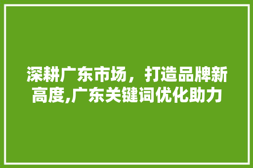 深耕广东市场，打造品牌新高度,广东关键词优化助力企业腾飞