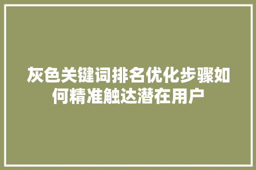 灰色关键词排名优化步骤如何精准触达潜在用户