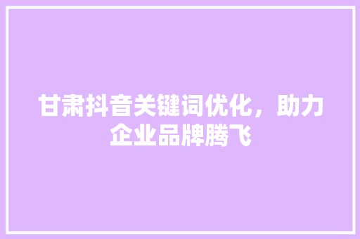 甘肃抖音关键词优化，助力企业品牌腾飞