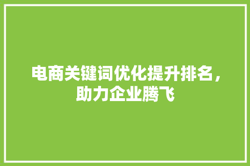 电商关键词优化提升排名，助力企业腾飞