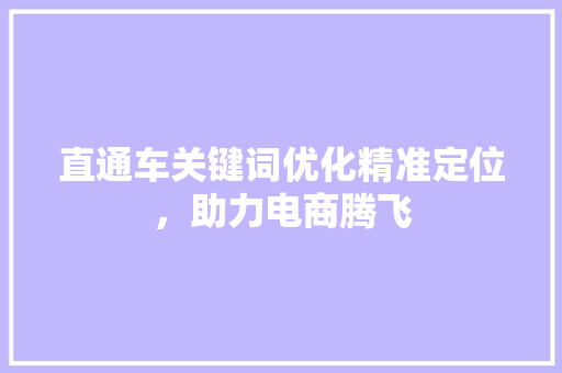直通车关键词优化精准定位，助力电商腾飞