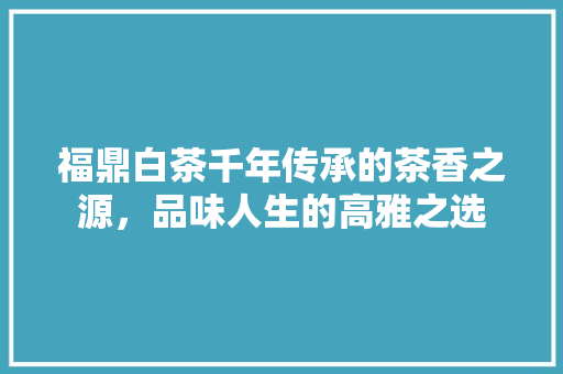 福鼎白茶千年传承的茶香之源，品味人生的高雅之选