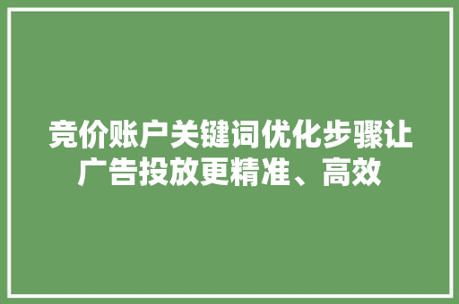 竞价账户关键词优化步骤让广告投放更精准、高效